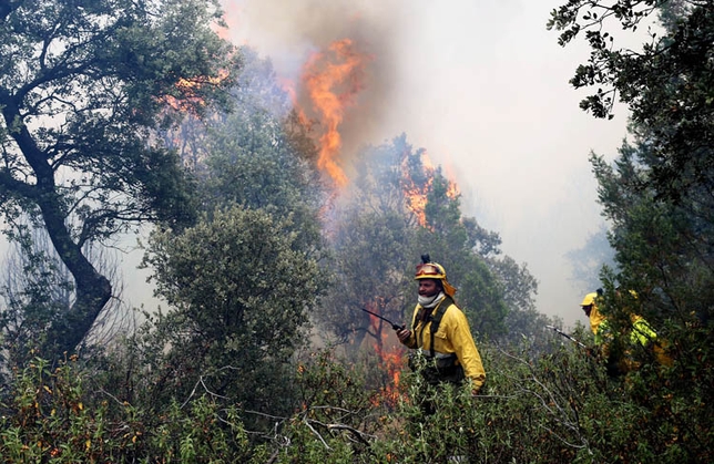 Un fuego calcinó el jueves 300 hectáreas de cultivo en Villaverde del Monte (en la imagen) y amenazó el monte de Puentedura, el mismo que ardió hace justo un año.