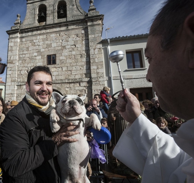 Cientos de vecinos de las Huelgas no dejaron pasar el día de la festividad del patrón de los animales y se acercaron con sus mascotas hasta su pequeña iglesia para que fueran bendecidas.