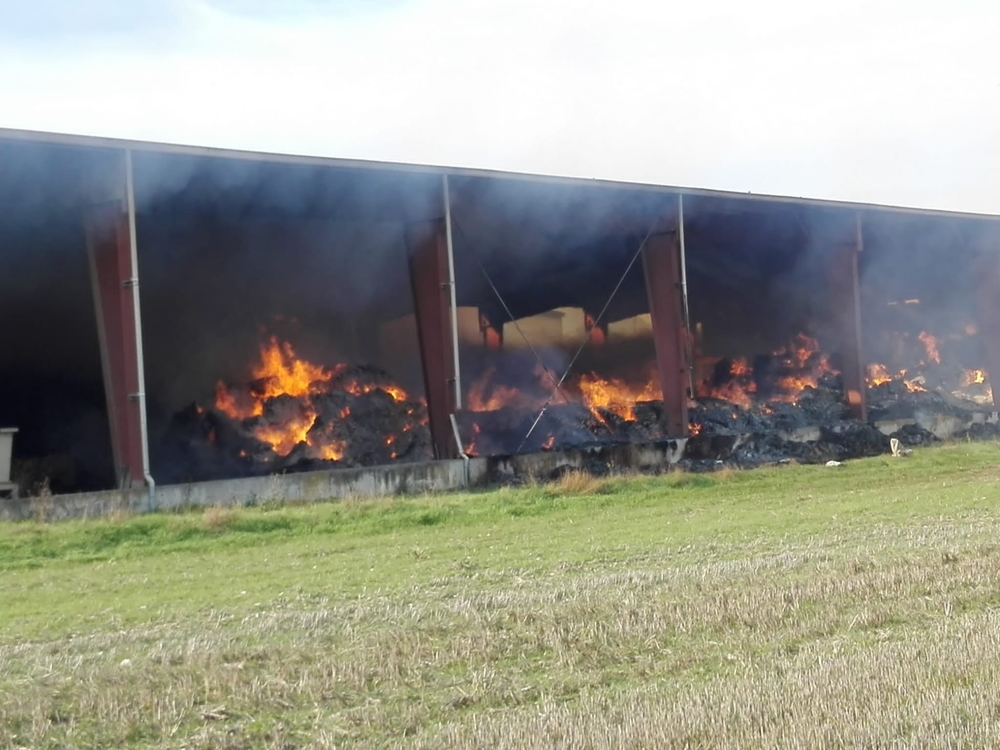 Varias de las naves de las instalaciones están totalmente destruidas por el fuego.