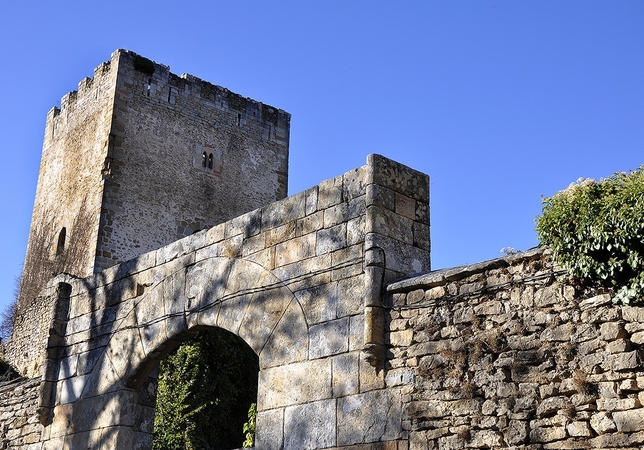 La torre de Cidad de Valdeporres muestra cierto porte, pero carece de techumbre y de cualquier estructura interior.