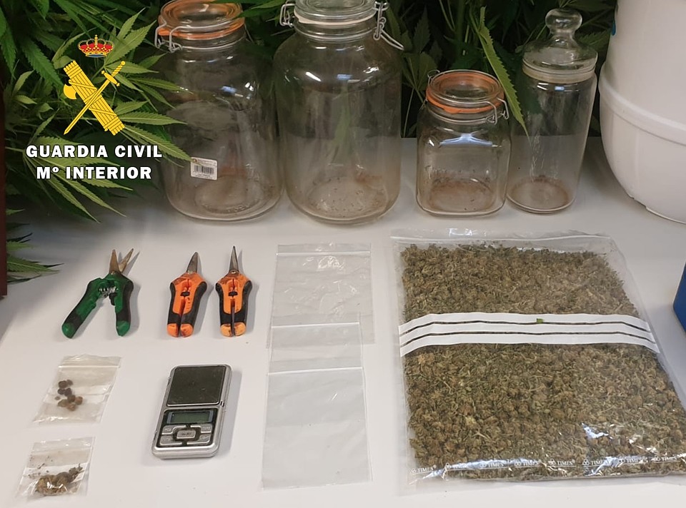 Detenido por cultivar marihuana en el jardín de un chalé