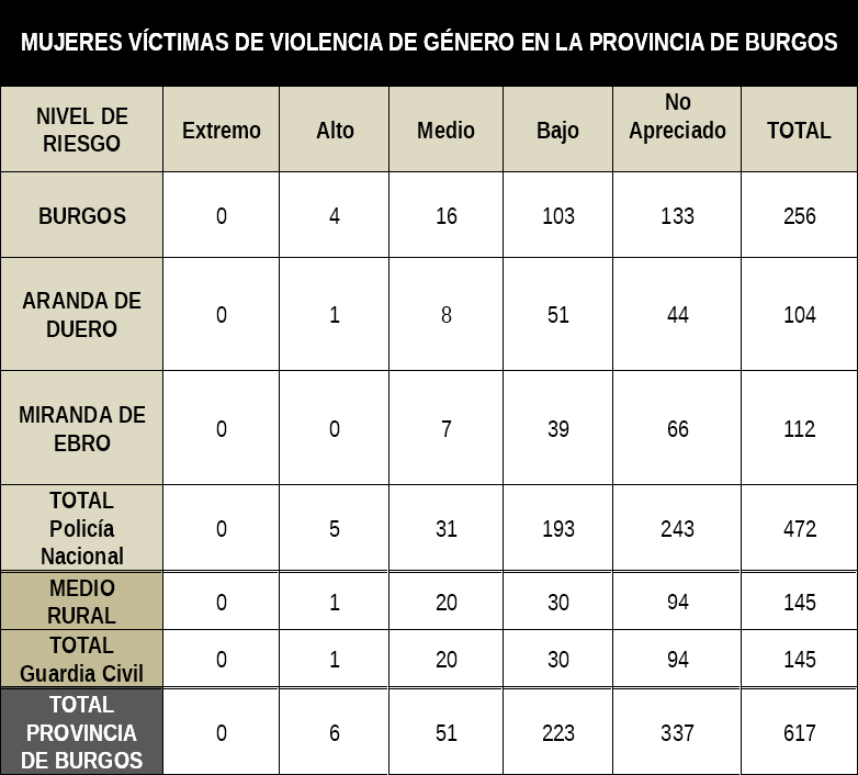 Mujeres víctimas de violencia de género en la provincia de Burgos. 
