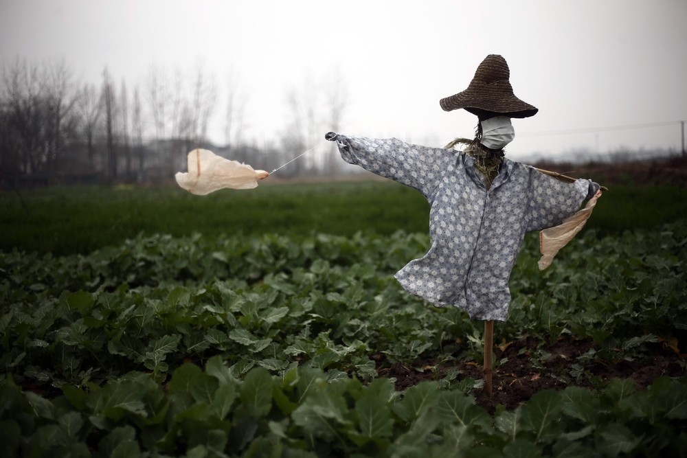 China eleva a 170 los muertos por el coronavirus