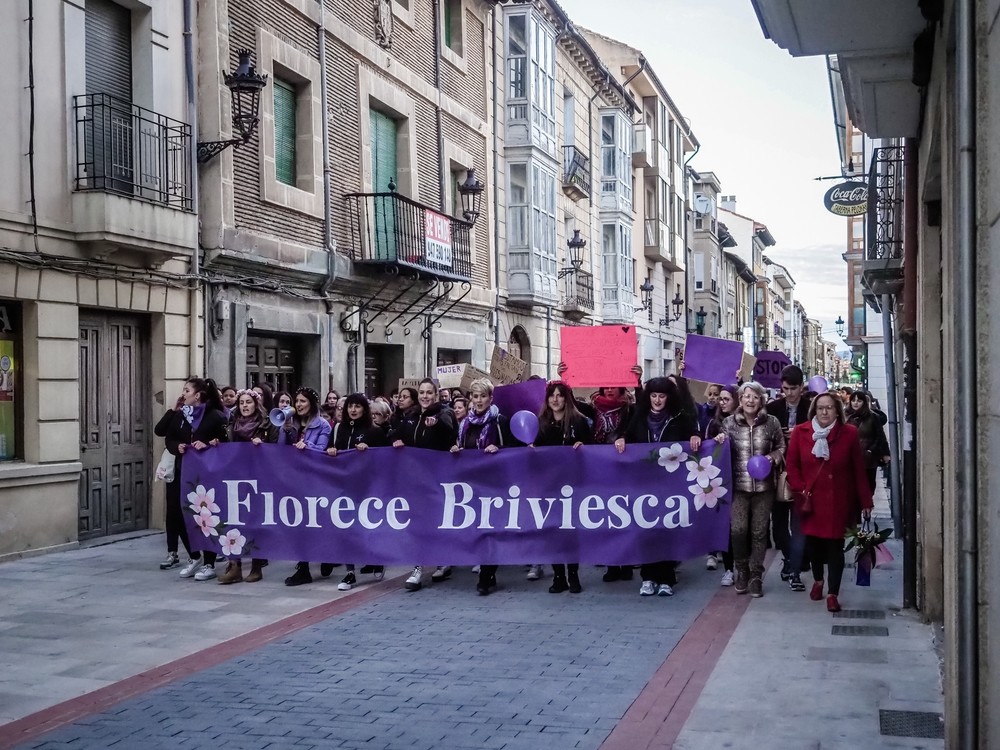 La manifestación de 2019 juntó a más de 500 personas en Briviesca.
