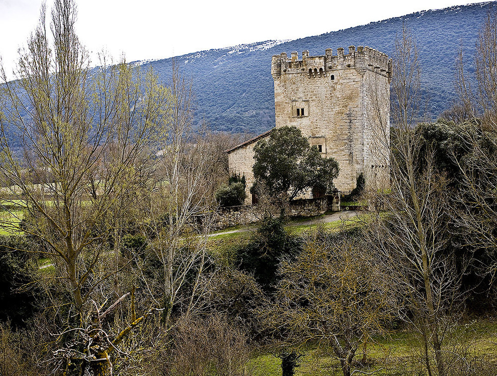 Chalet Torre del siglo XVII en Merindad de Valdivielso: 1.500.000 euros.   / ALBERTO RODRIGO