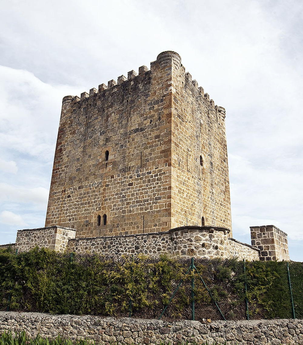 Castillo en Lezana de Mena: 2.350.000 euros.   / PATRICIA