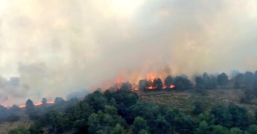 Imagen de la zona afectada por las llamas.