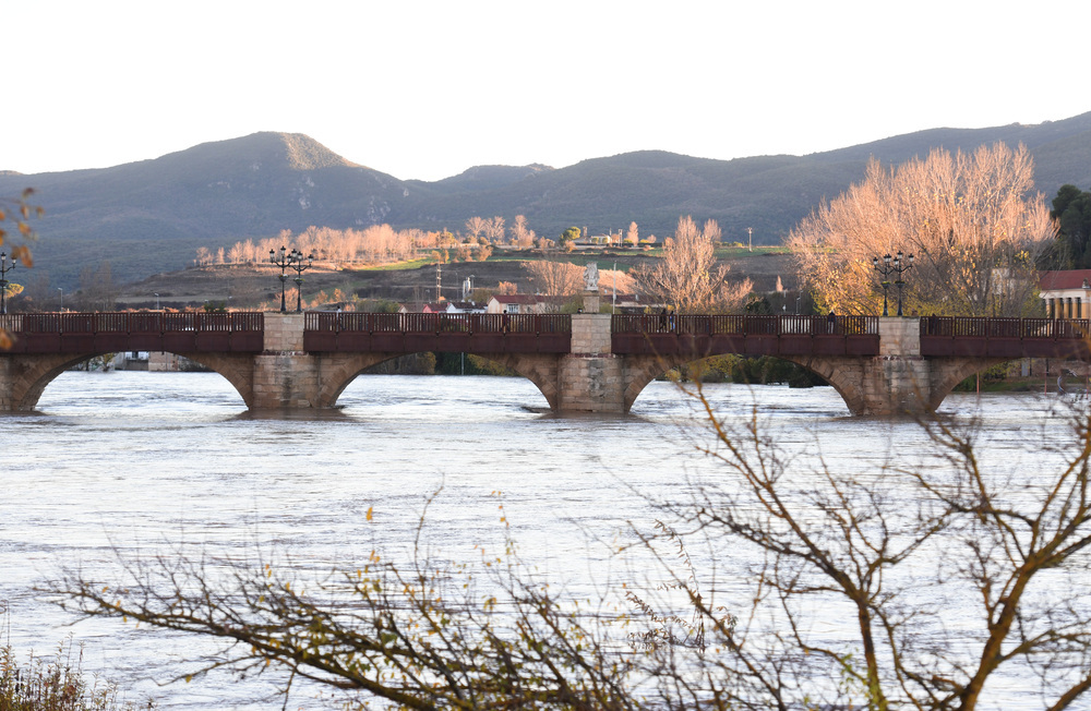 Crecida del río Ebro a su paso por la localidad burgalesa de Miranda de Ebro.  / RICARDO ORDÓÑEZ (ICAL)