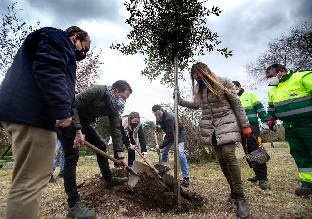 Desde el Ayuntamiento de Burgos también se hizo hincapié en la importancia del desarrollo sostenible en el ámbito local y plantó una encina en La Quinta.  / CHRISTIAN CASTRILLO