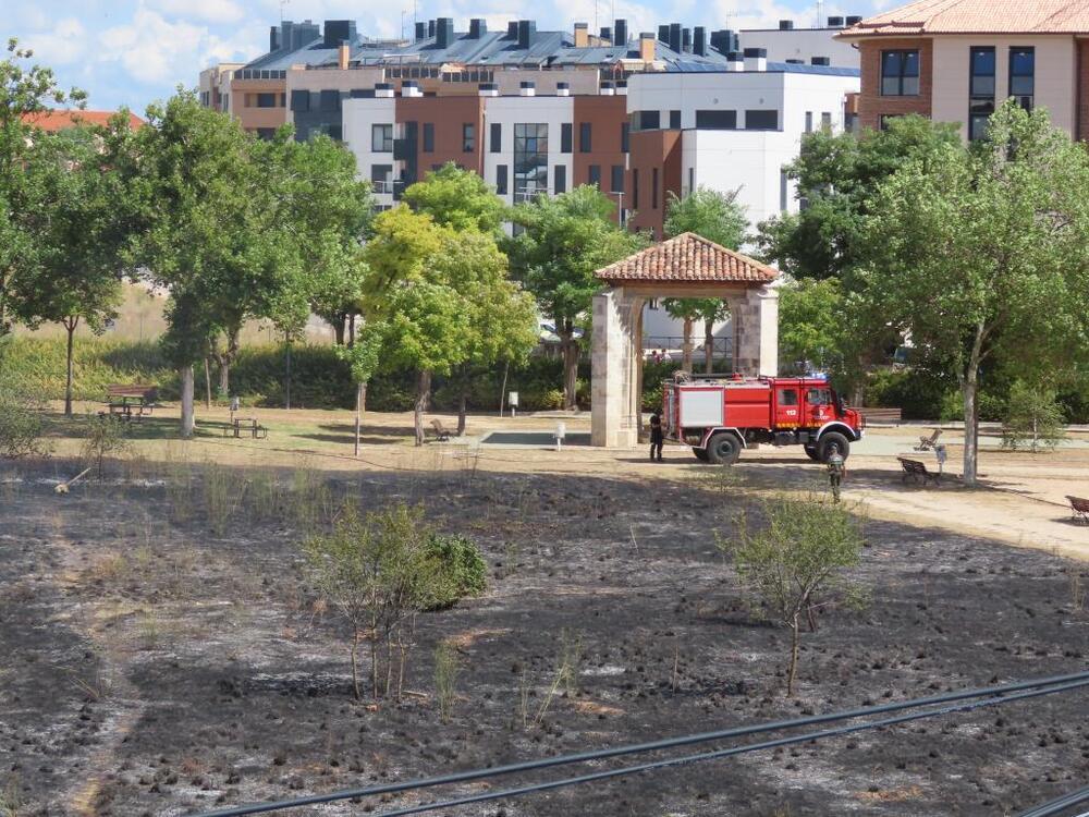 Un incendio devora cerca de 3.000 m2 en San Antón