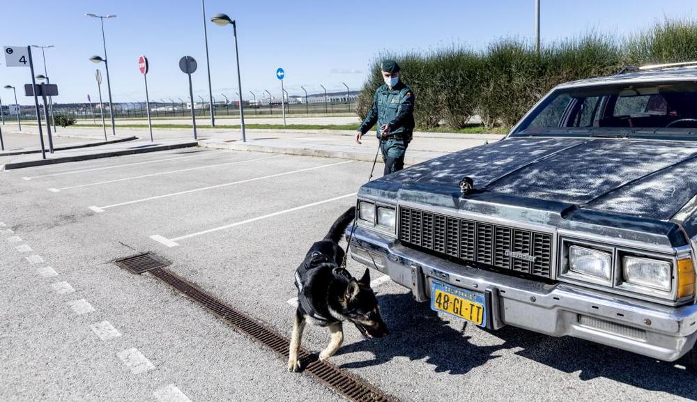 Biba se prepara junto a su guía David para ser el mejor olfato de la Guardia Civil en Burgos.   / PATRICIA