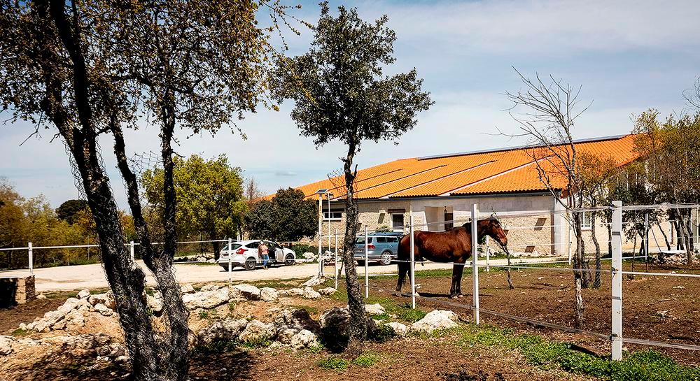 El centro Mil Encinas se ubica en plena naturaleza, con cuadras en el interior y una zona exterior también para los caballos.