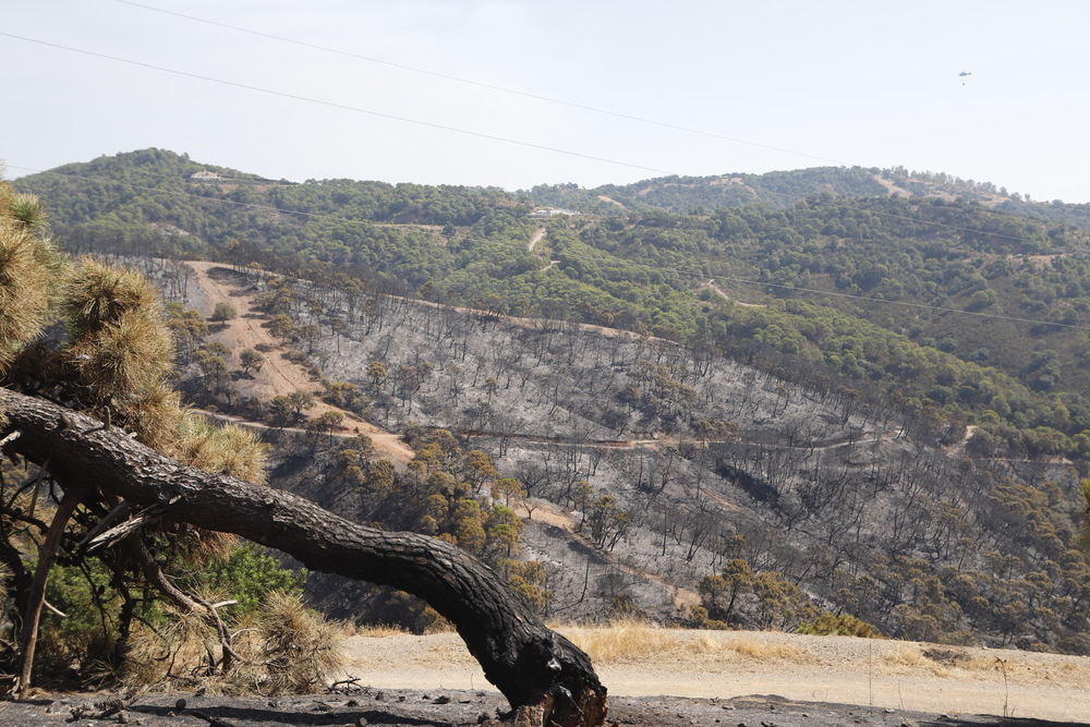 Andalucía da por controlado el incendio de Sierra Bermeja