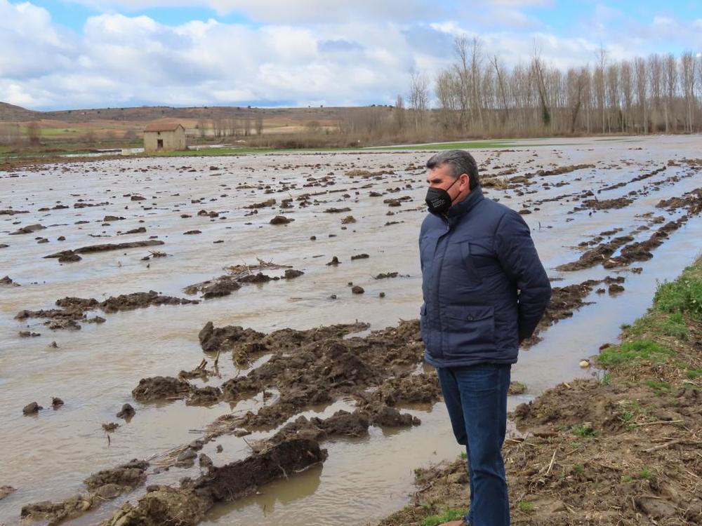 El río Riaza inunda la vega de Fuentecén.  / Diario de Burgos