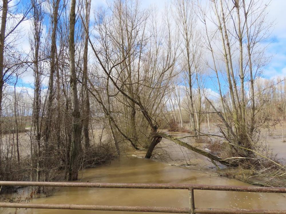El río Esgueva desbordado a su paso por Valdeande.  / Diario de Burgos