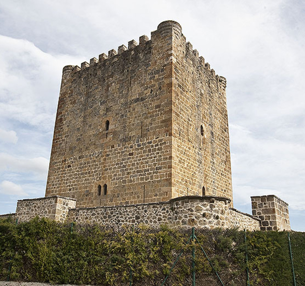 Torre de Lezana de Mena.   / PATRICIA