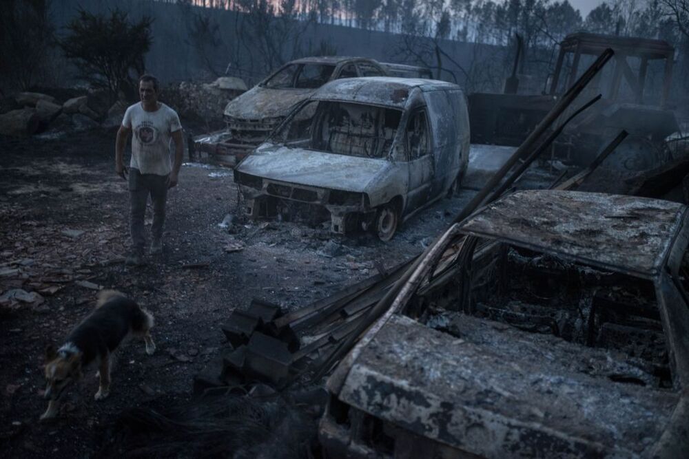 Los incendios arrasan más de mil hectáreas en Galicia, 470 de ellas en Verín   / BRAIS LORENZO