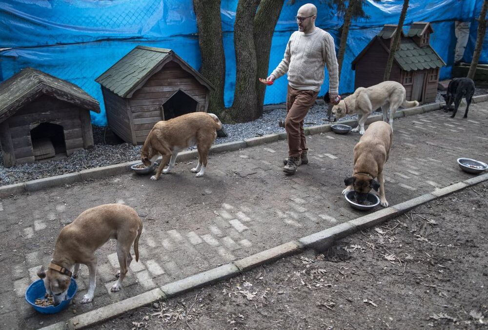 Turkish entrepeneur lives with dozens of animals  / ERDEM SAHIN