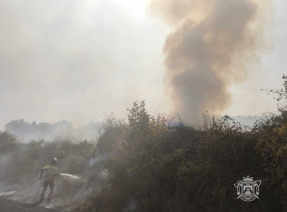 En el operativo, efectivos del servicio de Medio Ambiente de la Junta han colaborado con los bomberos en la extinción de las llamas. 