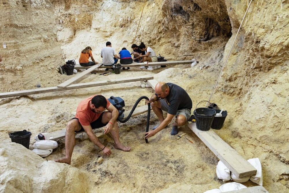 Hallan parte de un cráneo de Neandertal en Barcelona