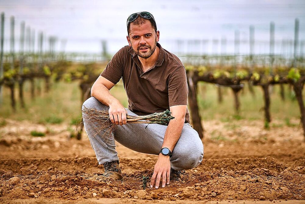 Eduardo Izquierdo es el miembro más joven del pleno del Consejo Regulador de la DO Ribera del Duero y un viticultor convencido. 