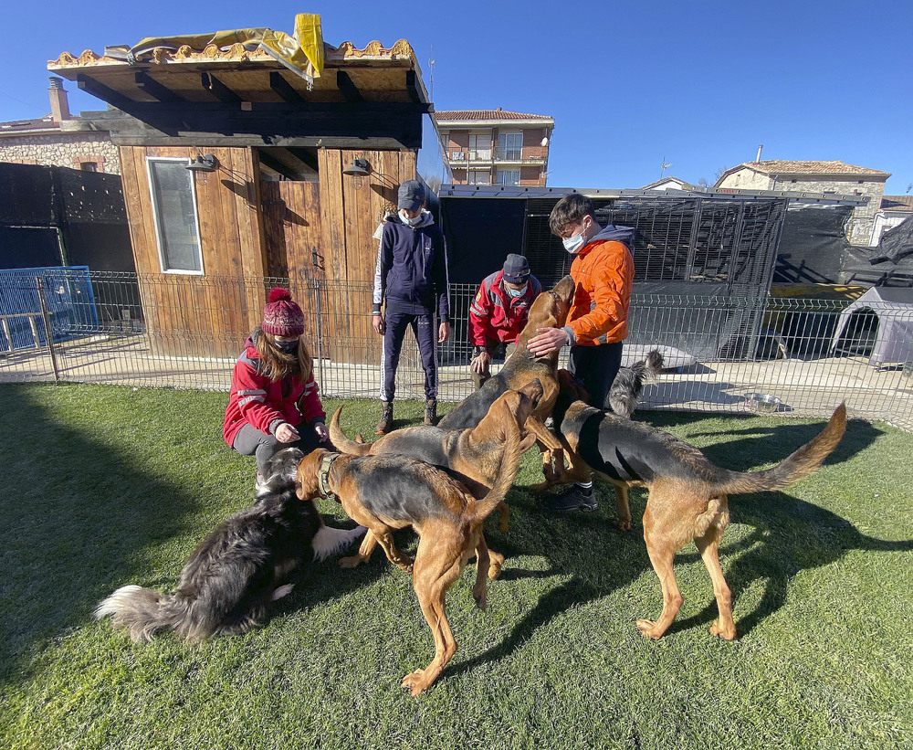Miembros del equipo y dos jóvenes que participan en el proyecto juegan con los perros.   / S.F.L.