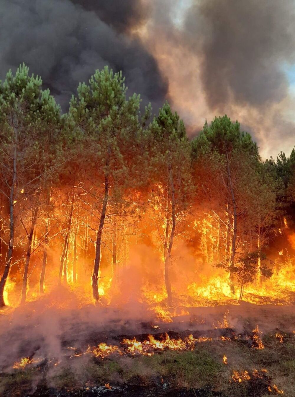 Wildfires in southwestern France