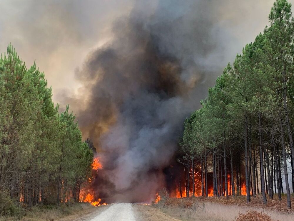 Wildfires in southwestern France  / HANDOUT/SDIS 33 HANDOUT