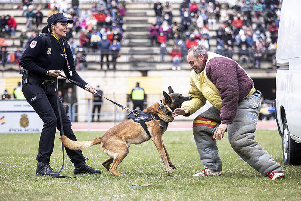 Las unidades caninas realizaron ejercicios de obediencia y especialidades. 