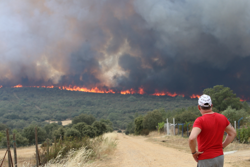 Un hombre contempla la devastación que las llamas están provocando en la comarca zamorana.