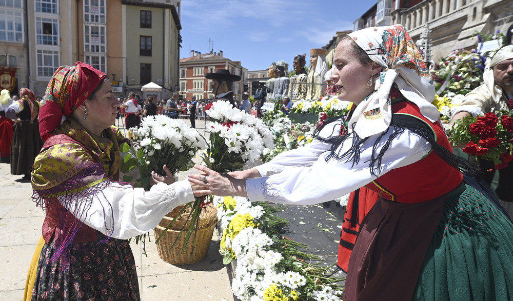 Ofrenda floral a los pies de la Catedral.  / RICARDO ORDÓÑEZ (ICAL)