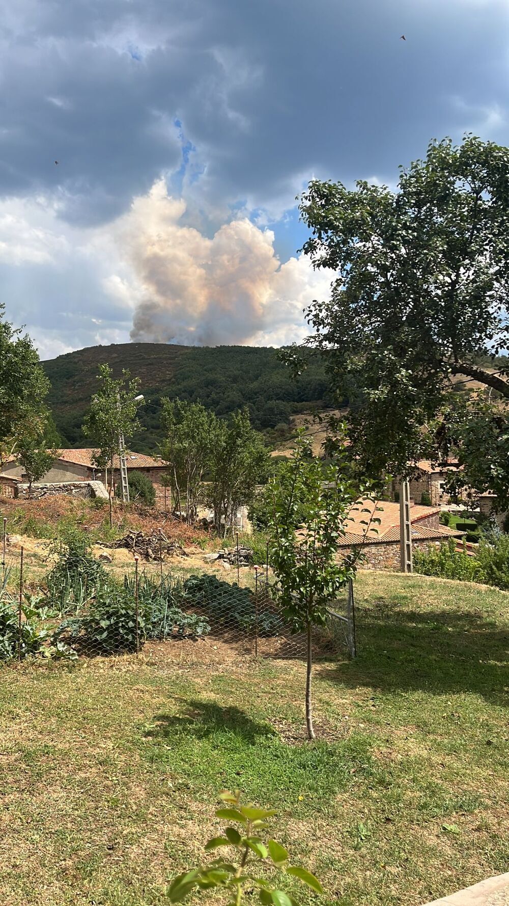 Se declara un incendio en el monte de Pineda de la Sierra