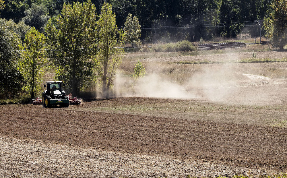 Burgos lidera la subida del precio de las fincas agrícolas y paga un 21% más que en 2015
