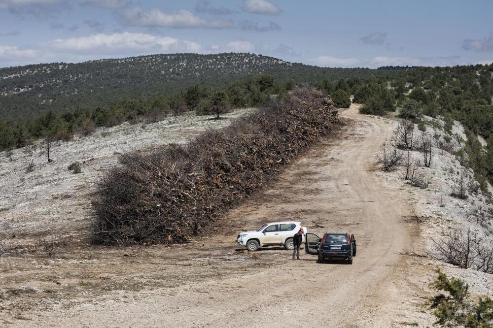 En la cresta de La Copeta se ha abierto una nueva pista que también permite el paso de los grandes camiones que acuden a esta zona de almacenamiento de los árboles que se han sacado.   / LUIS LÓPEZ ARAICO