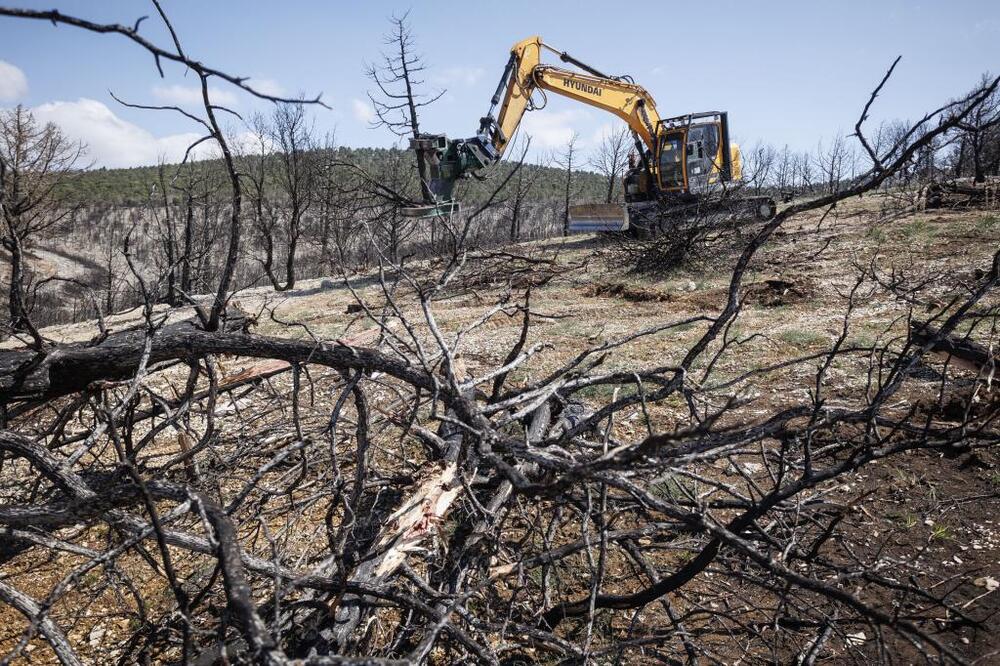 La retirada de la madera quemada fue la primera actuación en la zona. Arrancó en septiembre y se prevé finalizar en verano. En total, se estiman en 36.000 las toneladas que se extraerán.  / LUIS LÓPEZ ARAICO