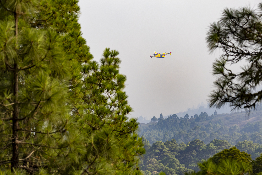 El incendio de Tenerife ya alcanza las casi 15.000 hectáreas calcinadas  / AGENCIAS