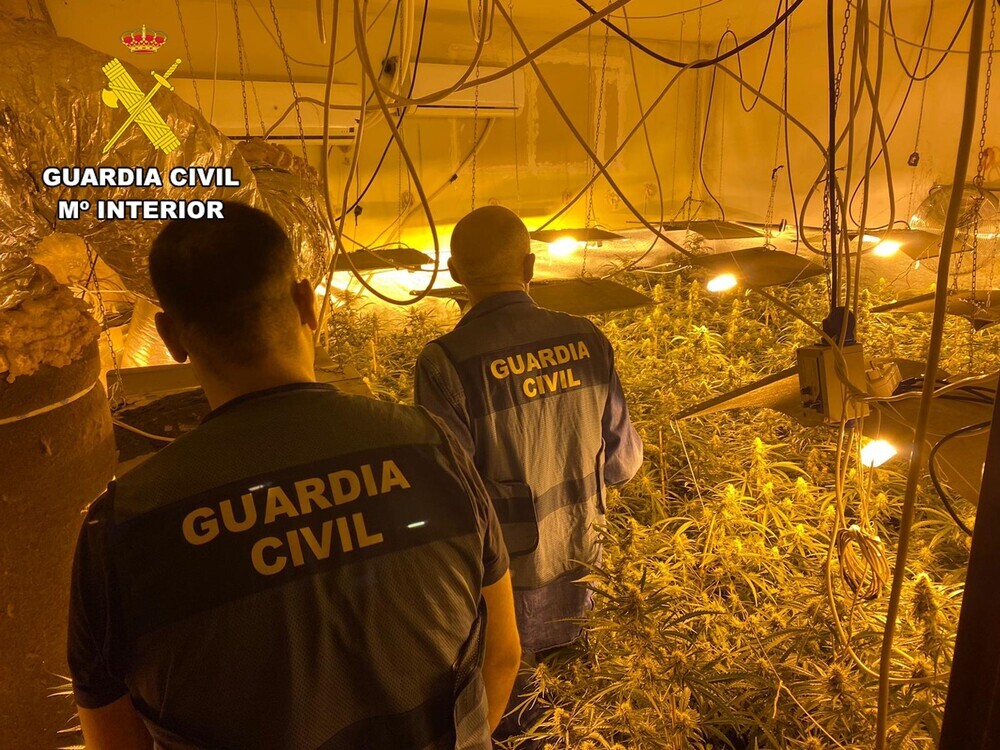Los agentes descubrieron en el interior de un chalé de las Merindades el centro clandestino de producción 'indoor' de cannabis sativa.