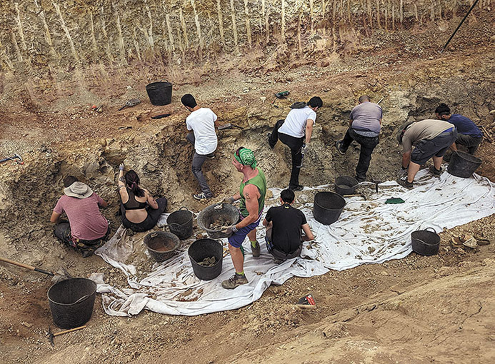 Ofrecen visitas guiadas a las excavaciones de dinosaurios de Torrelara