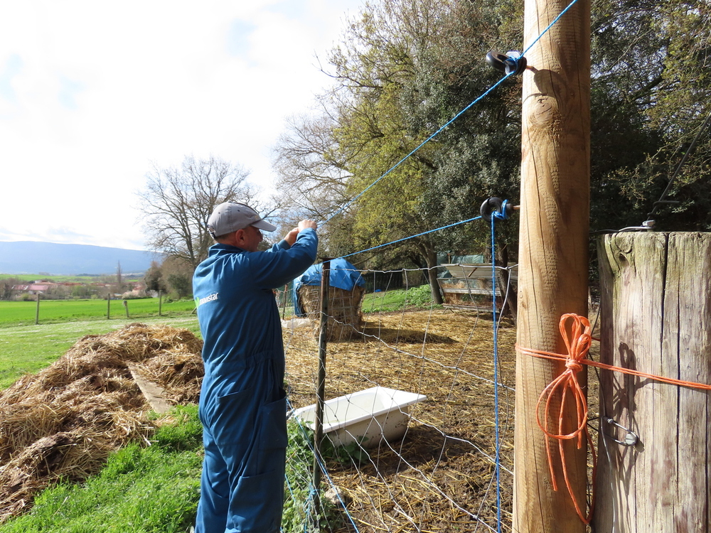 Luis Ruiz-Leivar instala una de las líneas de pastor eléctrico alrededor del corral de las ovejas. 
