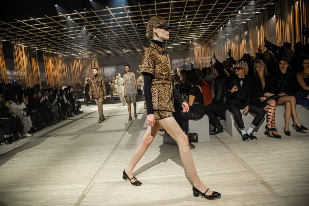Dior - Runway - Paris Women's Fashion Week Fall/Winter 2024/2025  / CHRISTOPHE PETIT TESSON