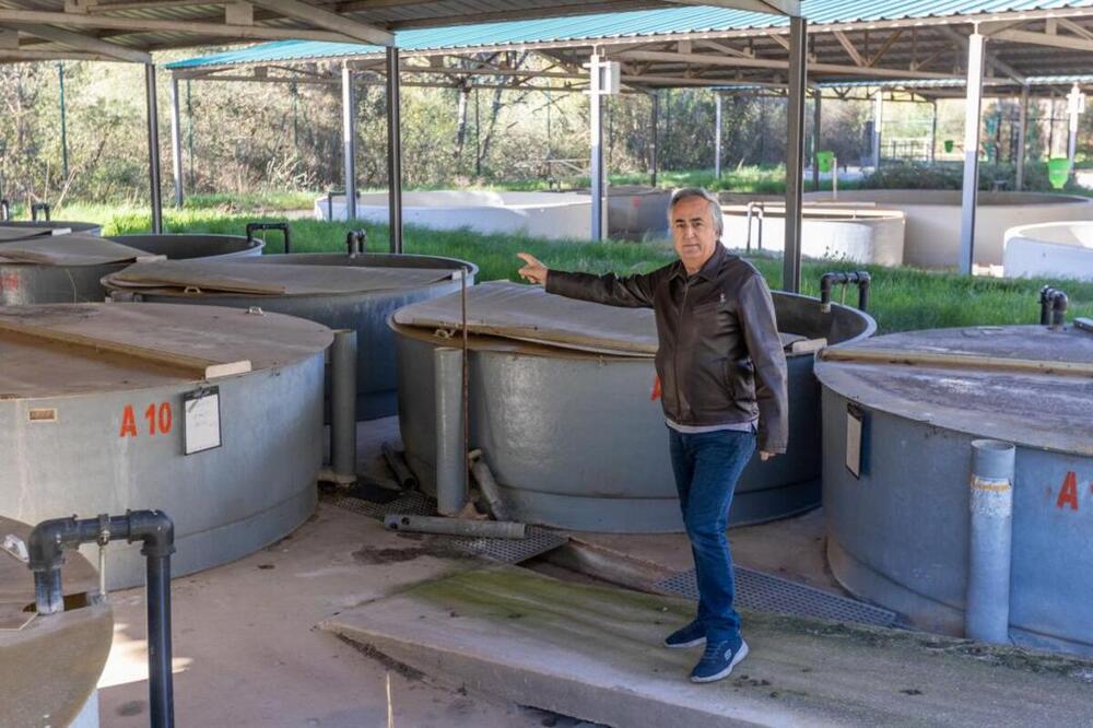 El gestor de la piscifactoría de Quintanar de la Sierra culpa a la CHD de paralizar el proyecto