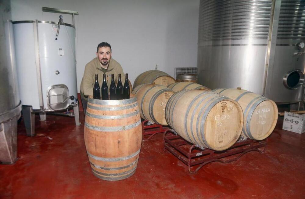 Adrián Alonso, un romántico entre viñas en la DO Arlanza