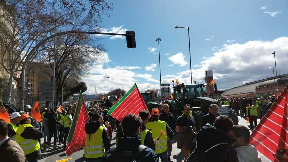 El campo burgalés vuelve a protestar unido en Madrid