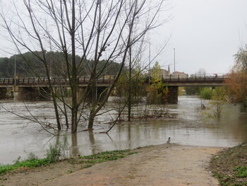 Miranda espera la crecida del Ebro esta madrugada