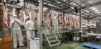 Preocupados por la parálisis de exportación de carne a China