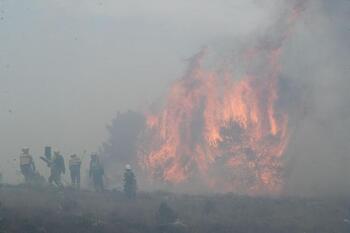 Malas prácticas agrícolas causan un tercio de los incendios