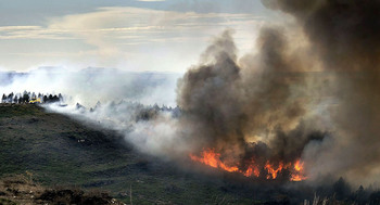 Un nuevo incendio quema más de 30 hectáreas en Sedano