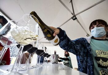 La venta de vino repunta un 6% por el mayor consumo hostelero