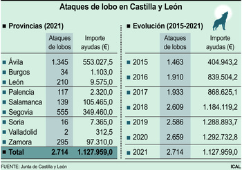 Castilla y León registra un ataque de lobo cada tres horas