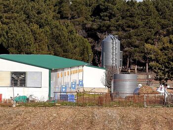 Una granja de Segovia detecta el primer foco de gripe aviar